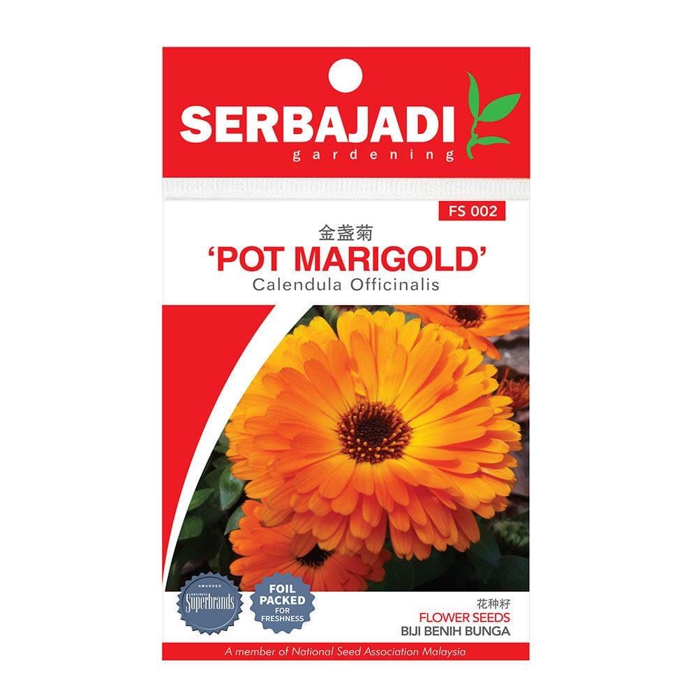BAJA SERBAJADI POT MARIGOLD, CALENDULA OFFICINALIS FLOWER SEED FS002 1GM