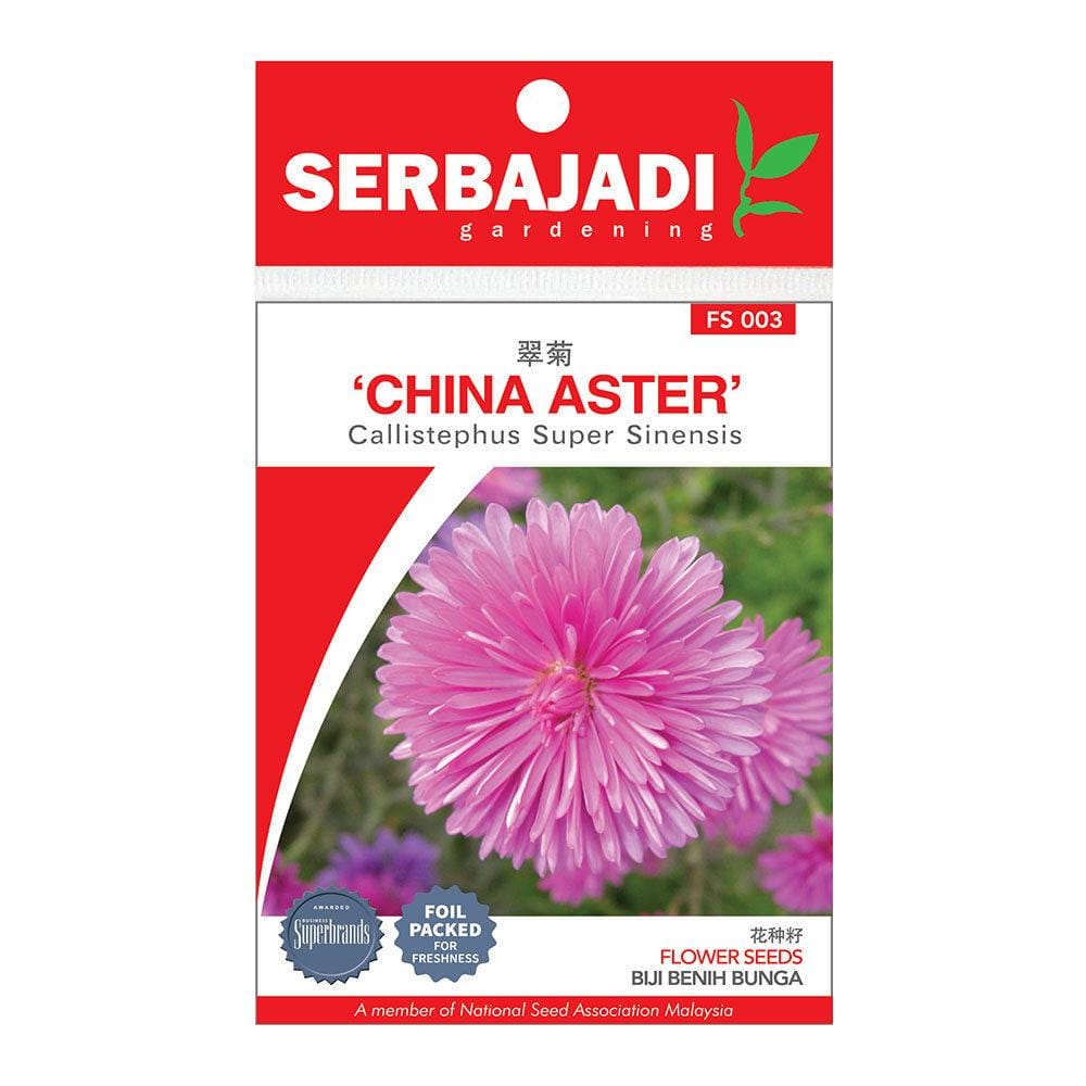 BAJA SERBAJADI CHINA ASTER, CALLISTEPHUS SUPER SINENSIS FLOWER SEED FS003 1GM