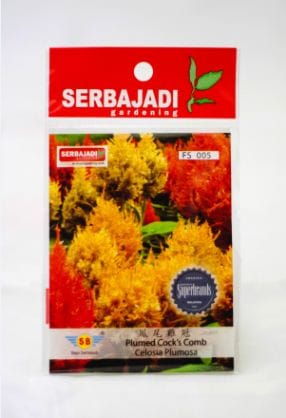 BAJA SERBAJADI PLUME COCKSCOMB, CELOSIA PLUMOSA FLOWER SEED FS005 1GM