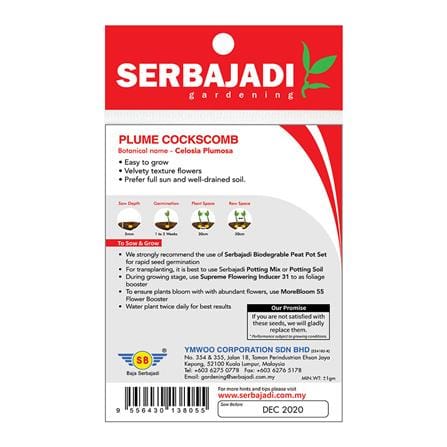 BAJA SERBAJADI PLUME COCKSCOMB, CELOSIA PLUMOSA FLOWER SEED FS005 1GM