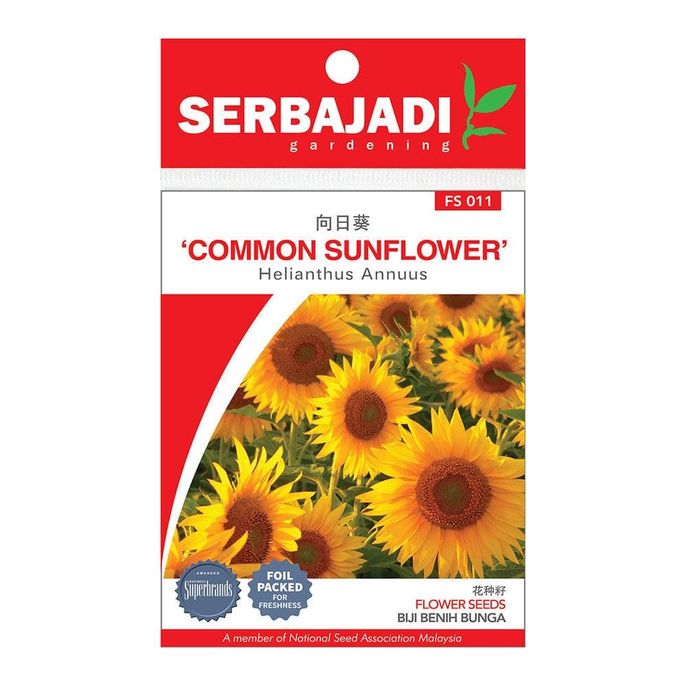 BAJA SERBAJADI COMMON SUNFLOWER FLOWER SEED FS011 1GM