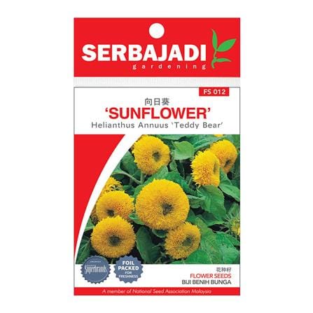 BAJA SERBAJADI TEDDY BEAR SUNFLOWER FLOWER SEED FS012 1GM