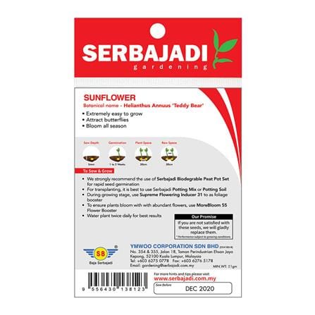 BAJA SERBAJADI TEDDY BEAR SUNFLOWER FLOWER SEED FS012 1GM