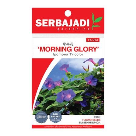 BAJA SERBAJADI MORNING GLORY, IPOMOEA TRICOLOR FLOWER SEED FS013 1GM
