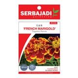 BAJA SERBAJADI FRENCH MARIGOLD FLOWER SEED FS018 1GM