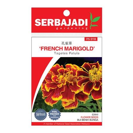 BAJA SERBAJADI FRENCH MARIGOLD FLOWER SEED FS018 1GM