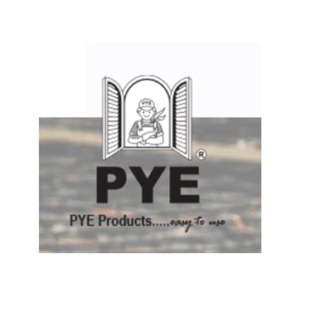 PYE FUNGRID 1 LITRE