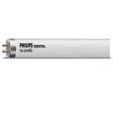 TL5 ESSENTIALVIEW 28W/865 COOL DAYLIGHT 886536 PHILIPS