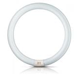 CIRCULAR FLUORESCENT COOL DAYLIGHT PHILIPS BRIGHTBOOST TL-E 40W/865