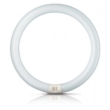CIRCULAR FLUORESCENT COOL DAYLIGHT PHILIPS BRIGHTBOOST TL-E 40W/865
