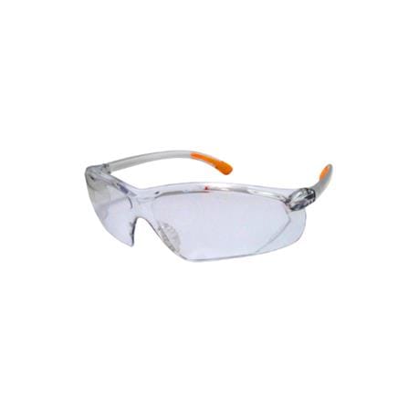 WORKER INDOOR AND OUTDOOR SAFETY GOGGLE CLEAR WE400C