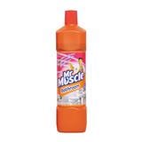 MR MUSCLE BATHROOM (KILL 99% OF GERMS) 900ML FLORAL