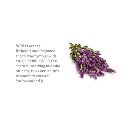 GLADE AEROSOL SPRAY 320ML WILD LAVENDER