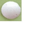 MASTAR PROTECTOR COVER LID 20MM DT WHITE