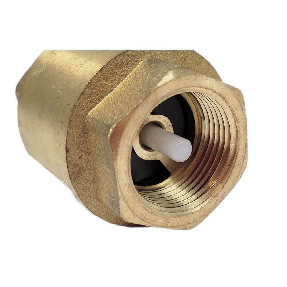 ANA BRASS SPRING CHECK VALVE 1170 - 3/4"