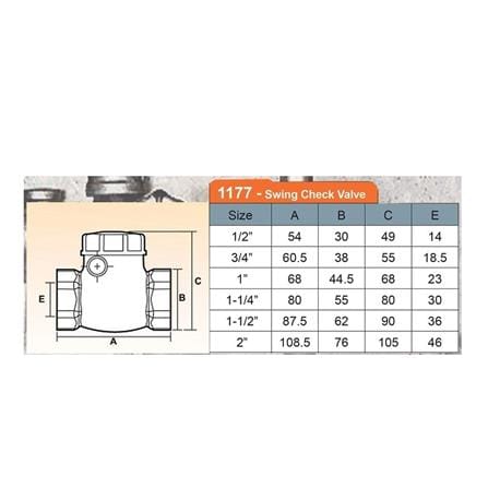 ANA SWING BRASS CHECK VALVE 1177-2"