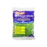 BAJA SERBAJADI BERMUDA GRASS SEED 100GM