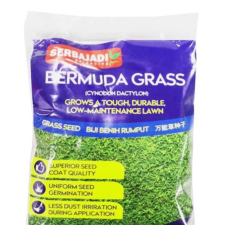 BAJA SERBAJADI BERMUDA GRASS SEED 100GM