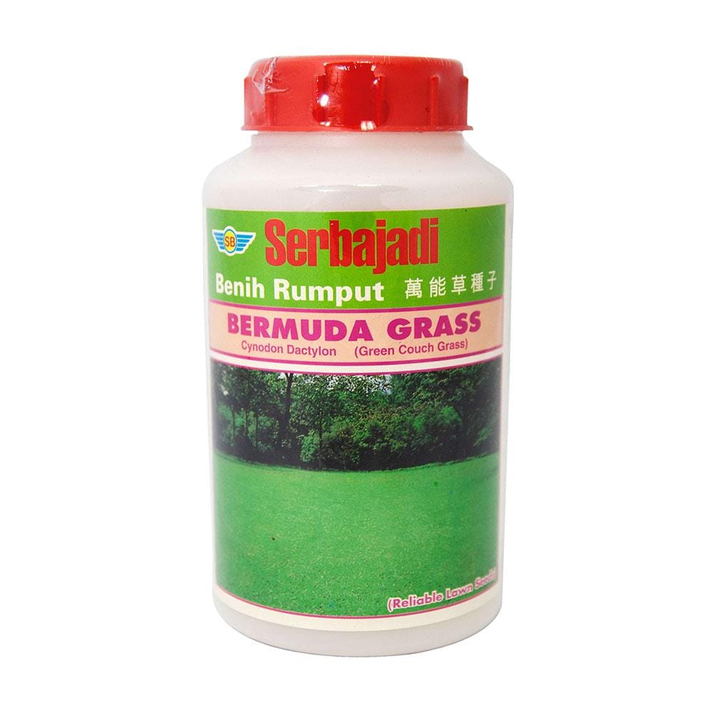 BAJA SERBAJADI BERMUDA GRASS SEED 500GM