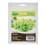 BABA VE-025 LION HEAD LETTUCE