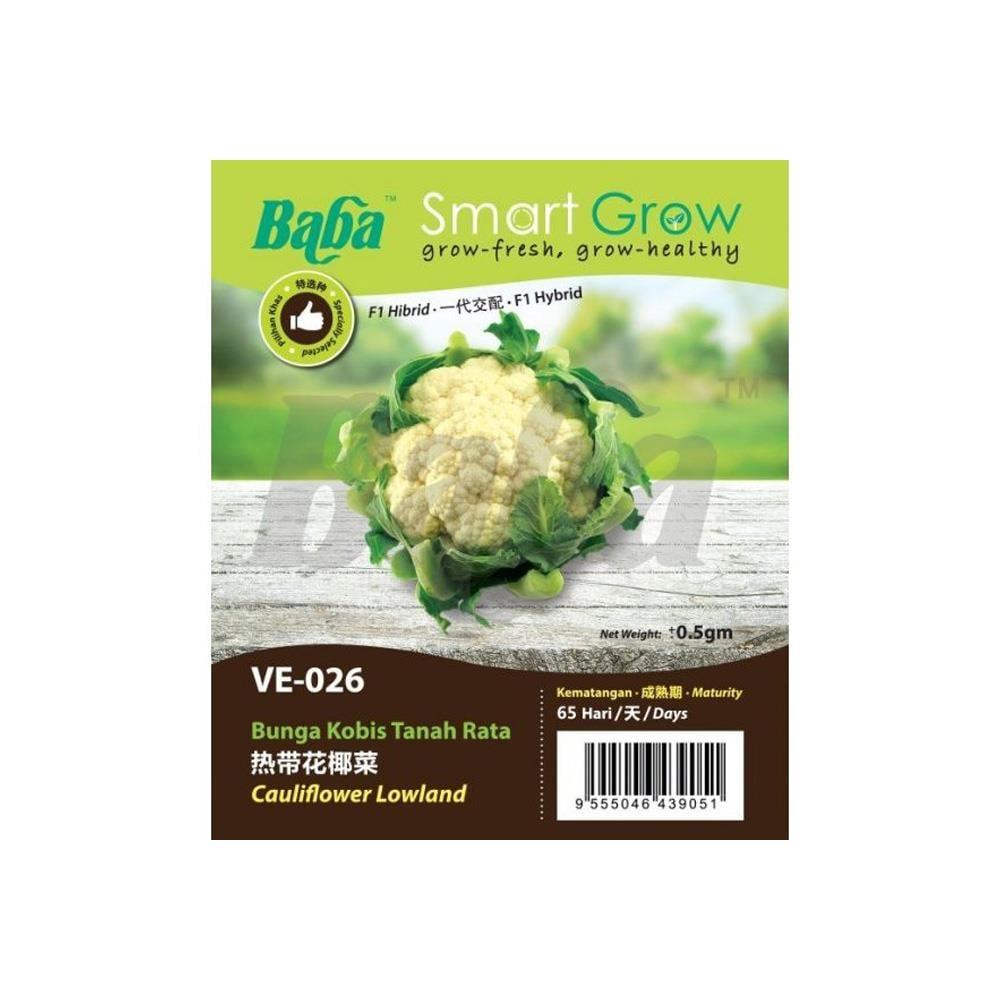 BABA VE-026 F1 HYBD CAULIFLOWER LOWLAND