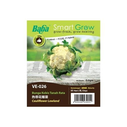BABA VE-026 F1 HYBD CAULIFLOWER LOWLAND