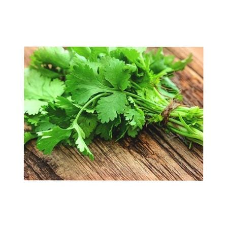 BABA VE-001 AMERICAN CORIANDER