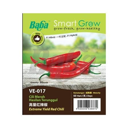 BABA VE-017 F1 HYBD EXT.YIELD R.CHILLI