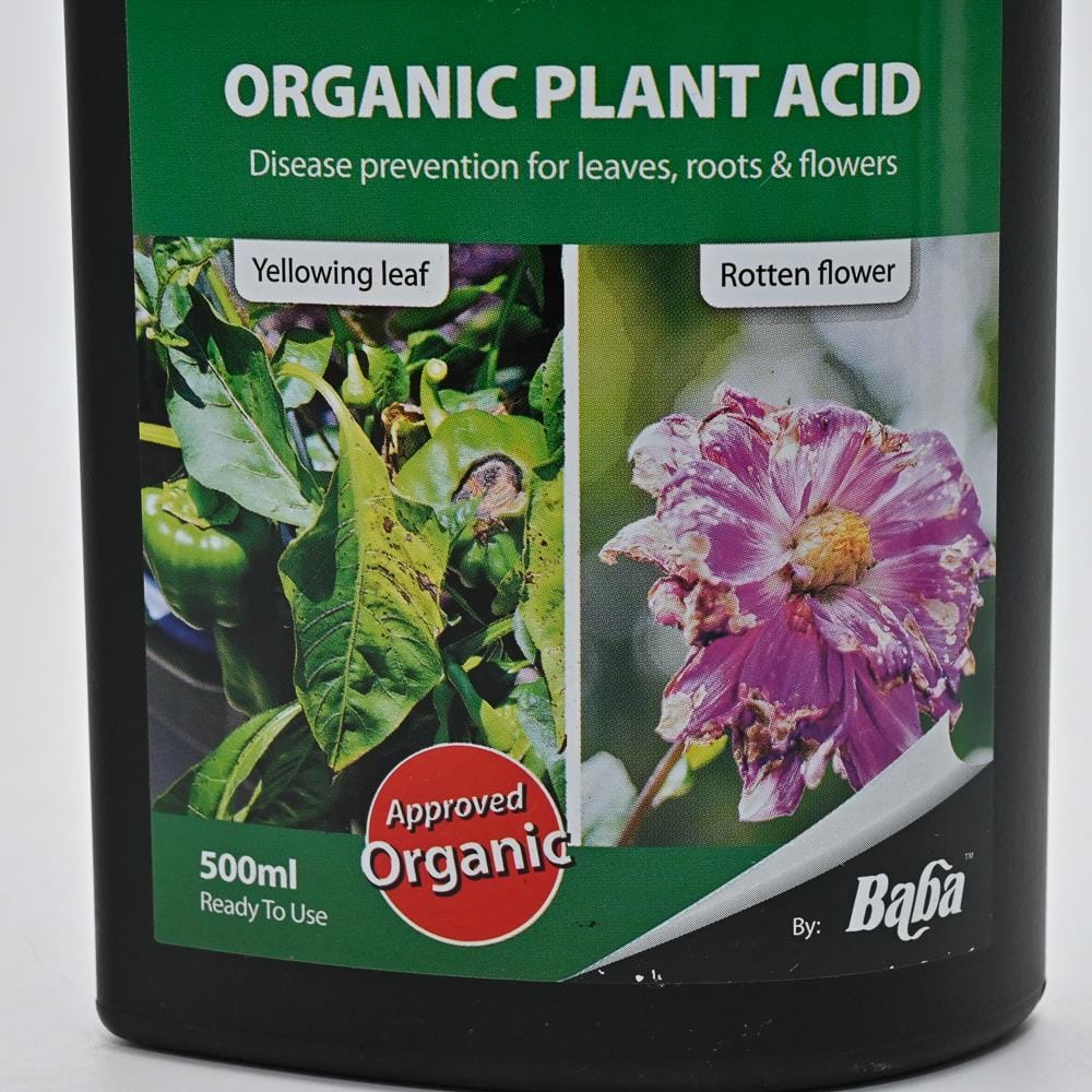 BABA MR. GANOCK ORGANIC PLANT ACID RTU 500ML