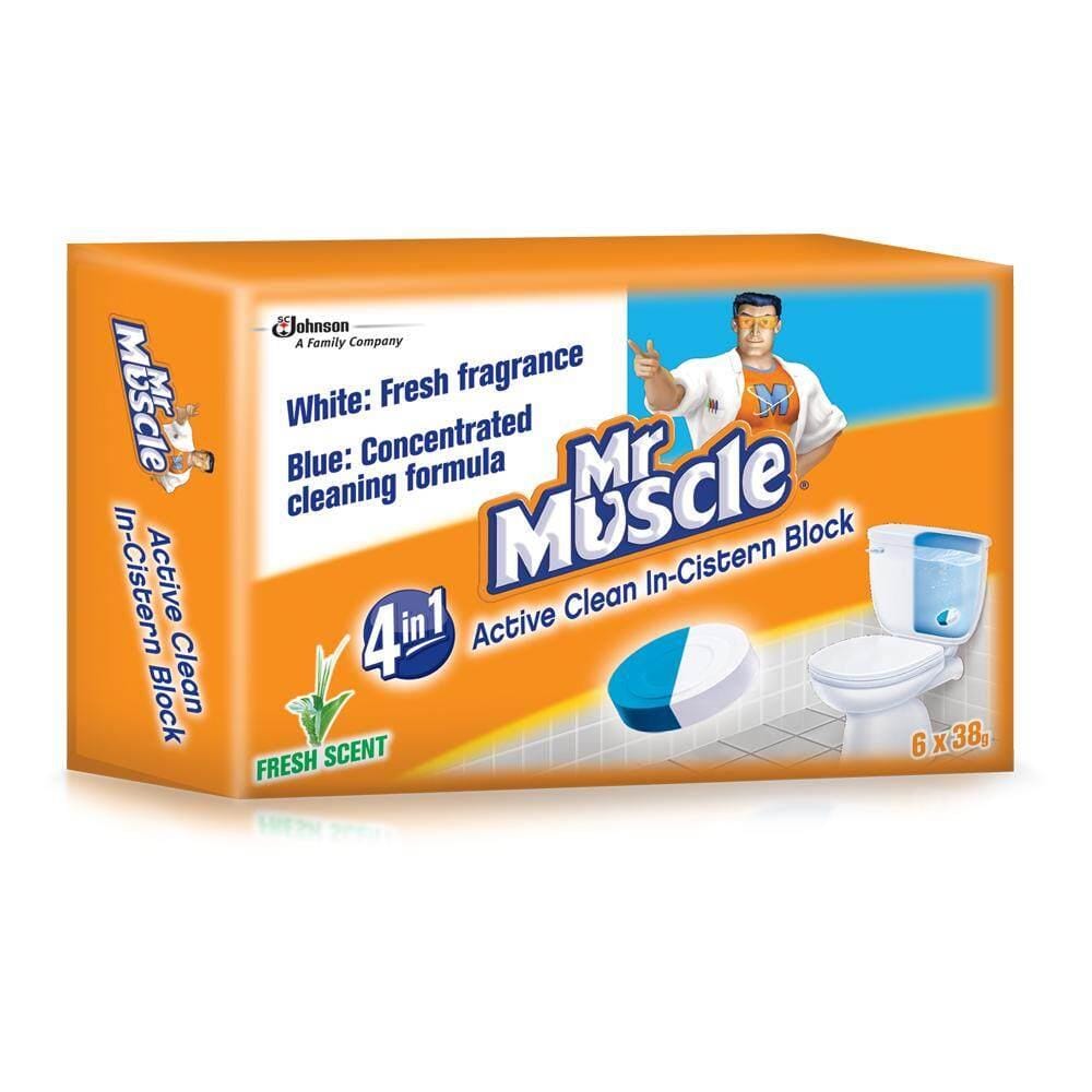 MR MUSCLE IN CISTERN BLOCK 667357 6X38 G
