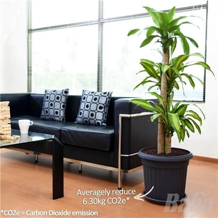 BABA RD-310 POT ZEN GREY