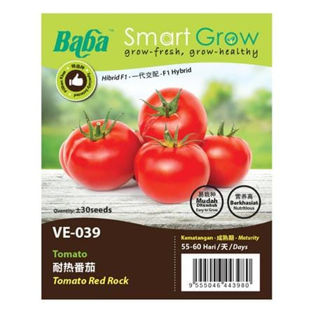 BABA VE-039 F1 RED ROCK TOMATO