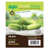 BABA VE-041 F1 MINI CUCUMBER