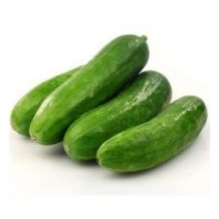 BABA VE-041 F1 MINI CUCUMBER
