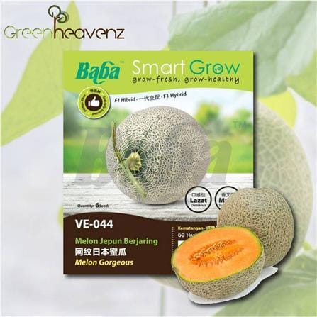BABA VE-044 F1 MELON GORGEOUS