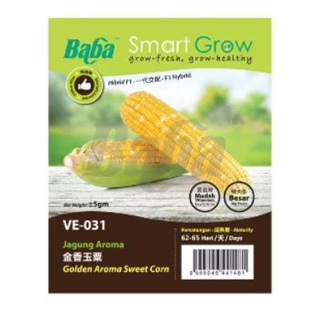 BABA VE-031 FI PEARL GOLD SWEET CORN