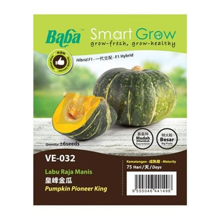 BABA VE-032 F1 PUMPKIN PIONEER KING