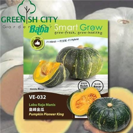 BABA VE-032 F1 PUMPKIN PIONEER KING