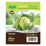 BABA VE-043 F1 CABBAGE