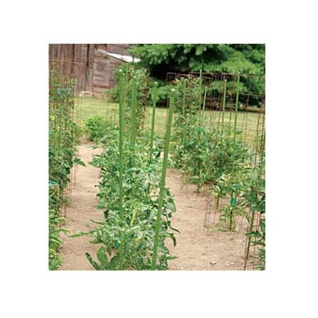 TAKIRON PLANT STAKE 8MM X 750MM