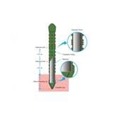 TAKIRON PLANT STAKE 8MM X 900MM