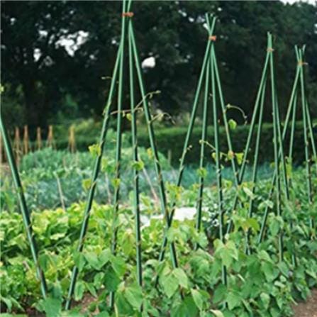 TAKIRON PLANT STAKE 11MM X 1500MM