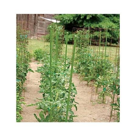 TAKIRON PLANT STAKE 16MM X 1500MM METAL GREEN