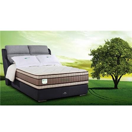 KINGKOIL BEDFRAME ONLY QUEEN SIZE (5) NR 300