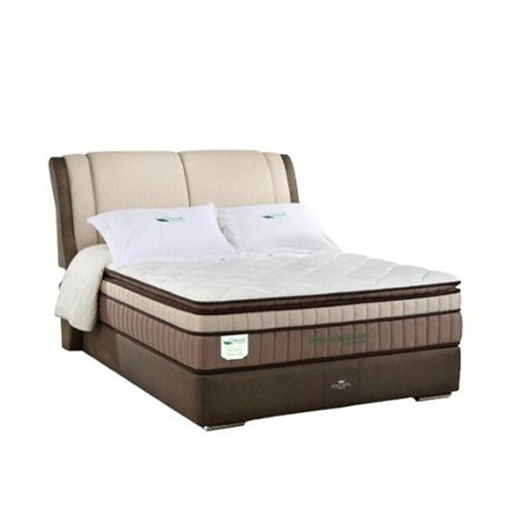 KINGKOIL BEDFRAME ONLY KING SIZE (6) NR200