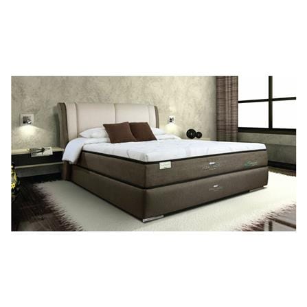 KINGKOIL BEDFRAME ONLY KING SIZE (6) NR200