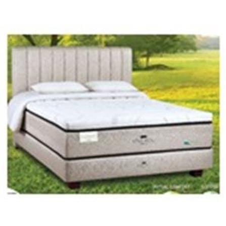 KINGKOIL BEDFRAME ONLY QUEEN SIZE (5) NR100