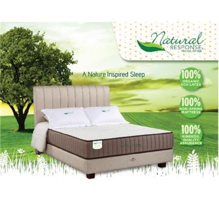 KINGKOIL BEDFRAME ONLY QUEEN SIZE (5) NR100