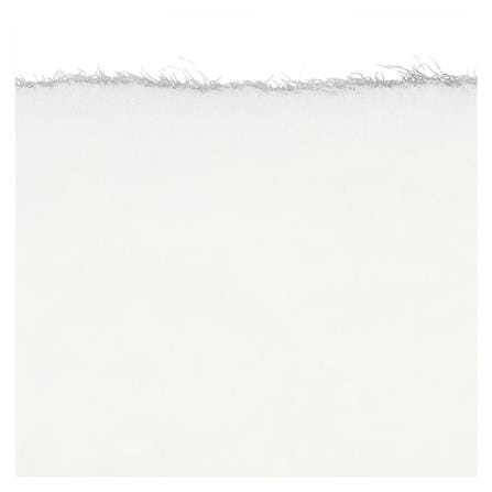 EPOXY LONG PILE PAINT ROLLER COVER SOMIC 10"