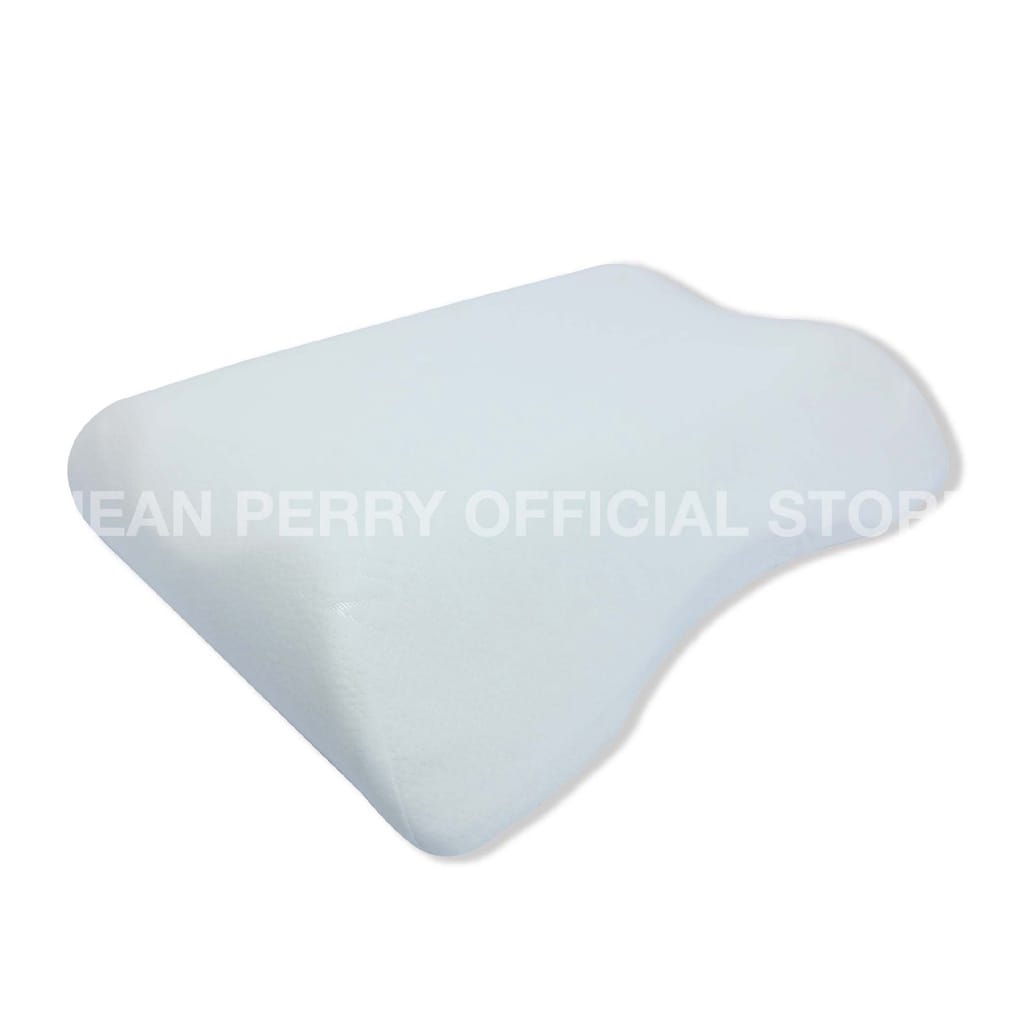 ANN TAYLOR PILLOW ANTI SNOORE